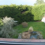 Back garden from above